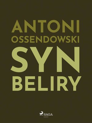 cover image of Syn Beliry